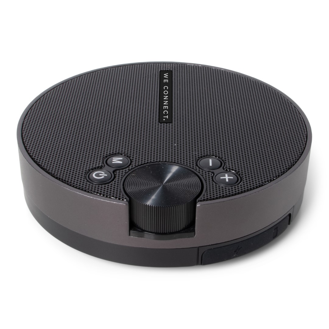 BRAINZ Disk Speaker Black (38594)